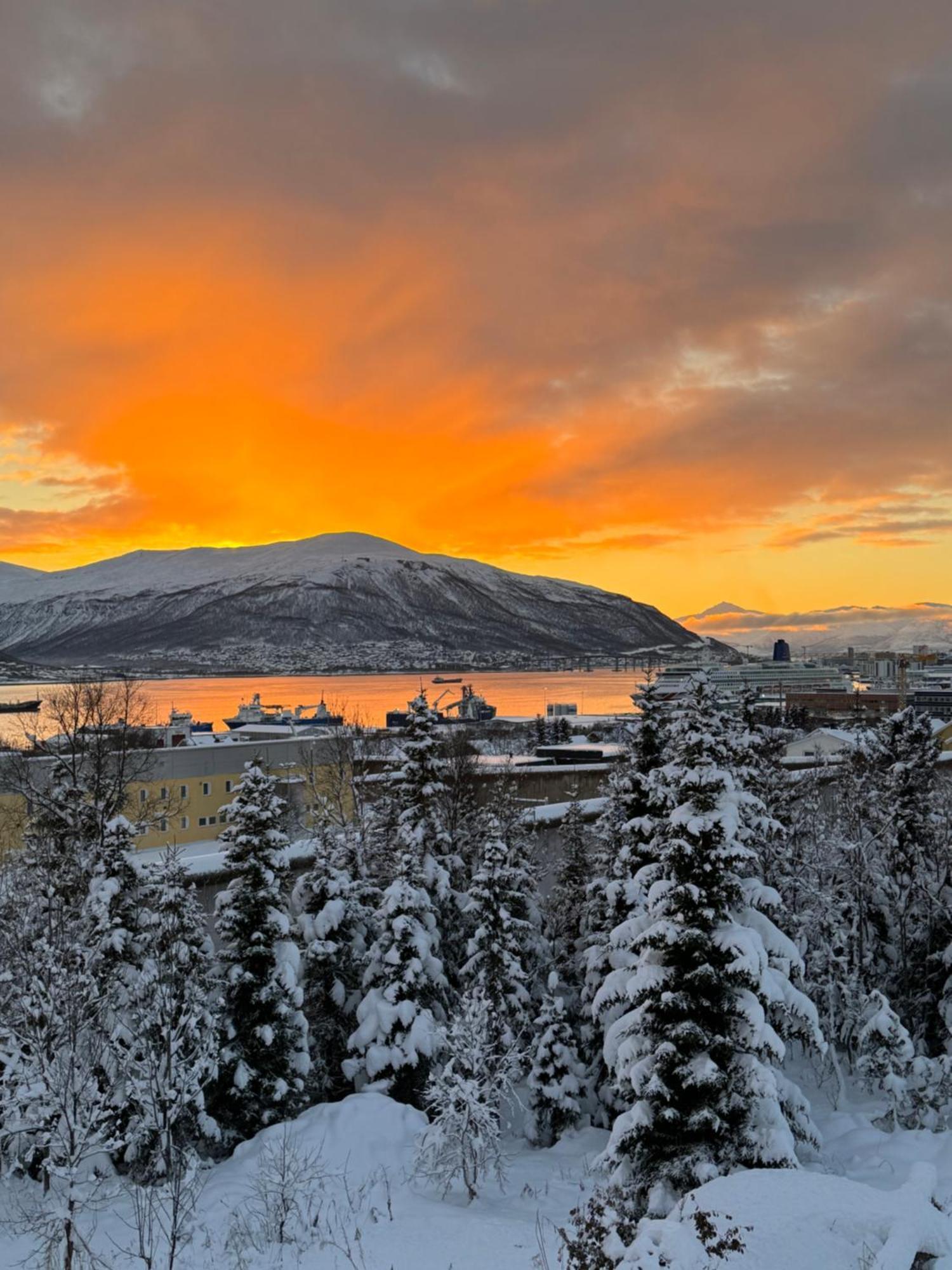 Lägenhet Arctic Retreat - Spacious Next To Amazing Nature *